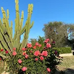 Villa Vita Villa Oria (Brindisi)